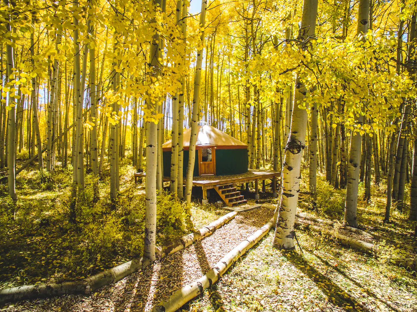 Mountaintop Green Yurt Rental in Colorado