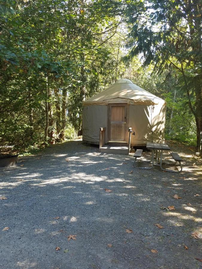 Best Glamping Yurts in Washington