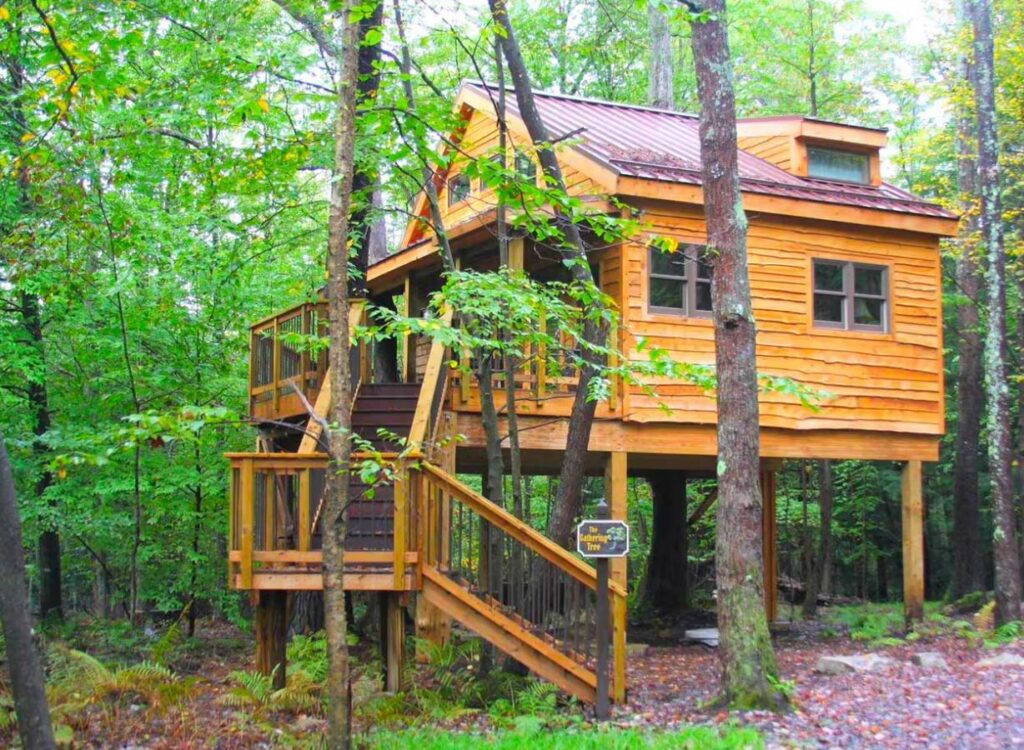 Maryland Treehouse Rental