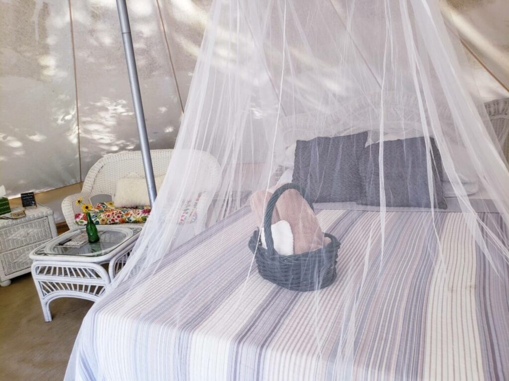 Tent Yurt Rental Flordai