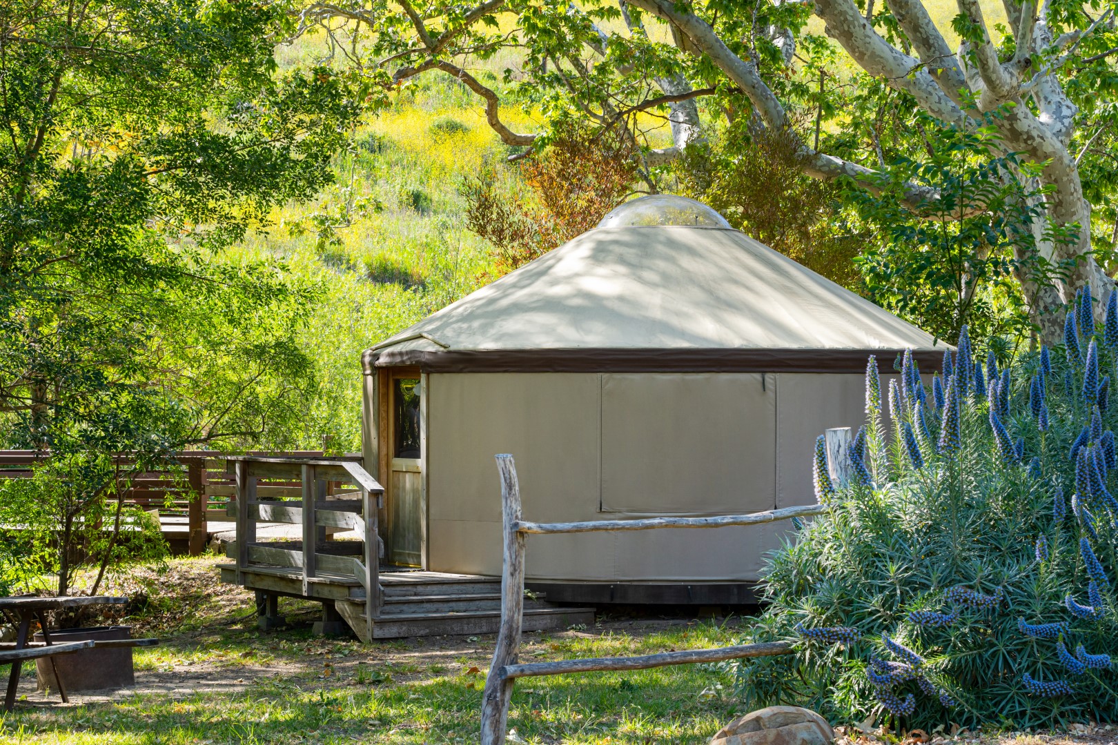 California Yurt Rental