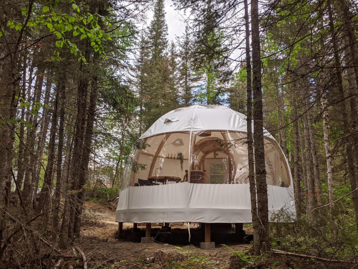 Glamping 'Yurt' Dome in Canada