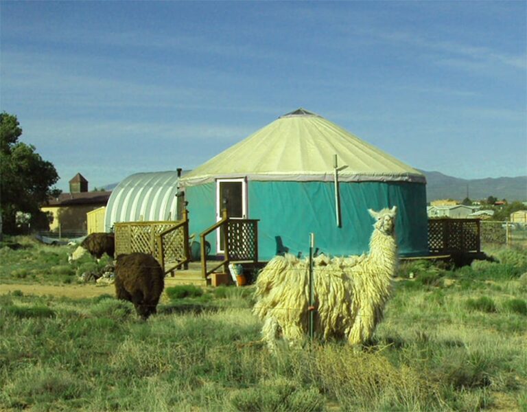 12 Best Yurts in New Mexico For a Glamping Getaway Yurt Trippers