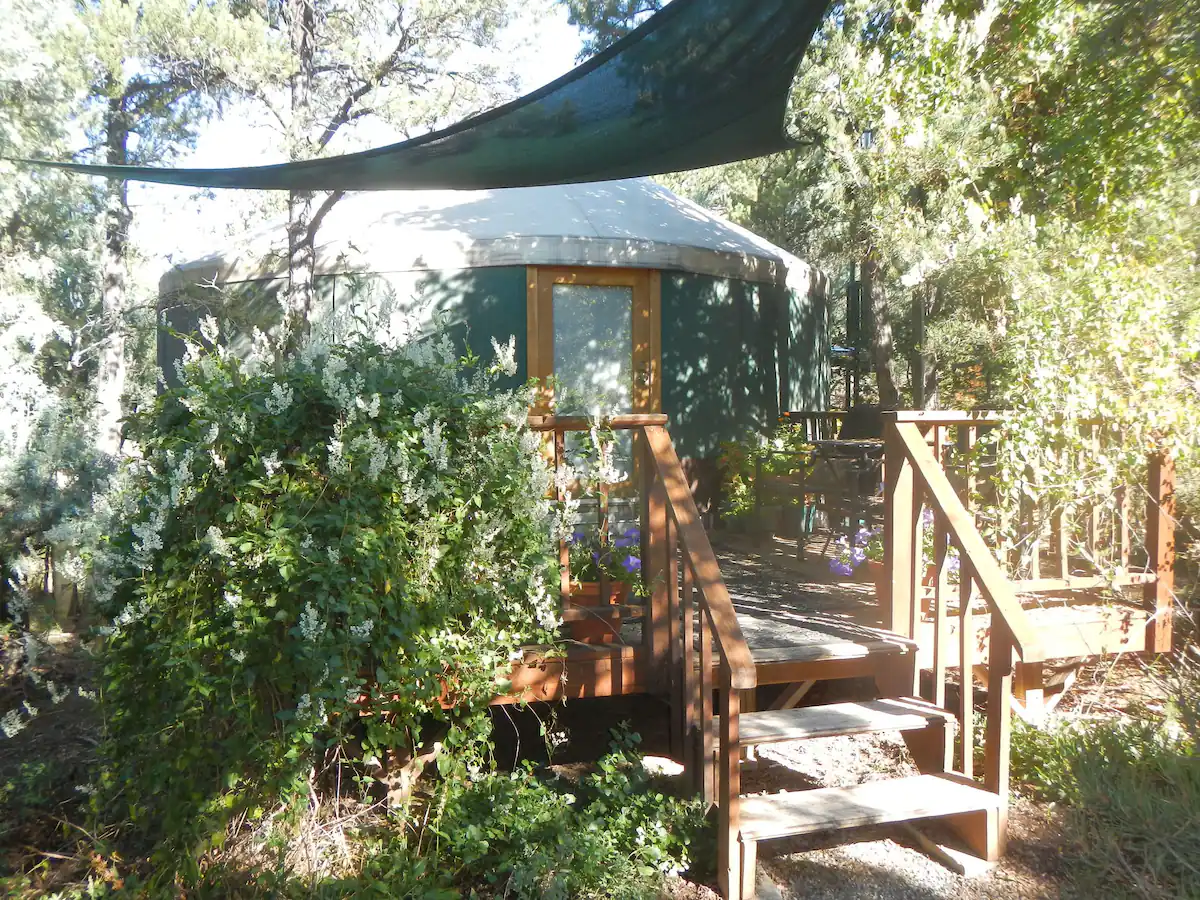 Middle Yurt Nestled in the Trees